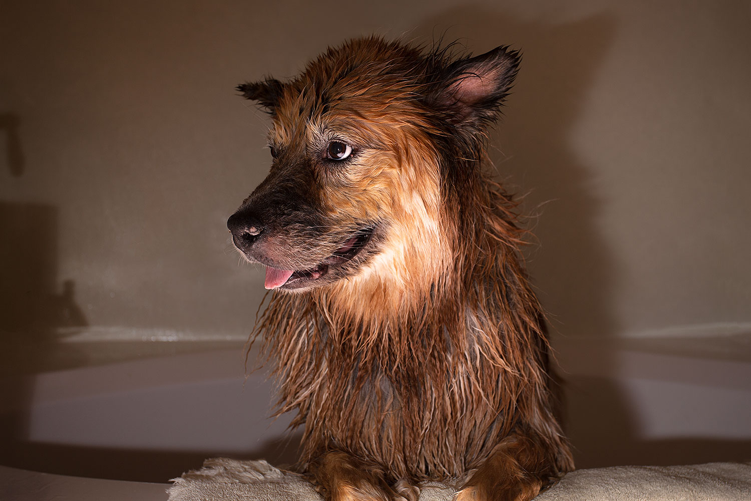 2013-04-28-booda-shower-37323