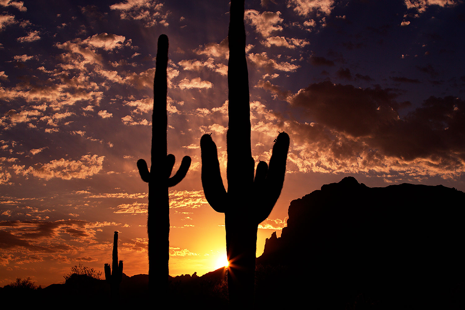 2013-05-14-supers-sunrise-8-9-40387