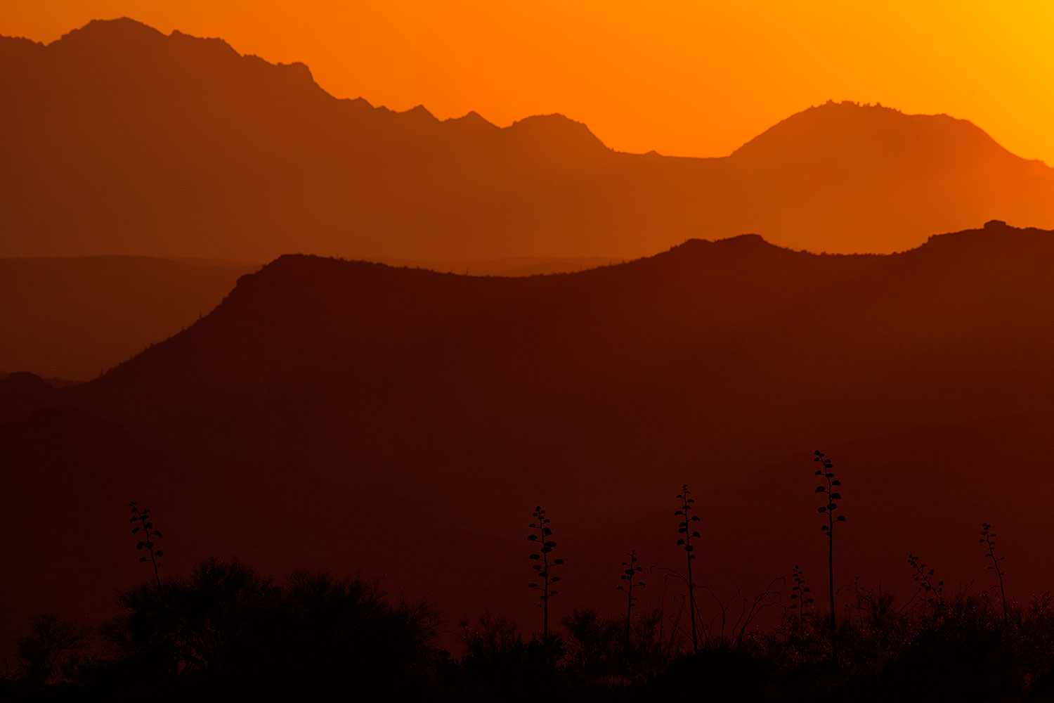 2014-05-31-supers-sunset-9-5d3_5055
