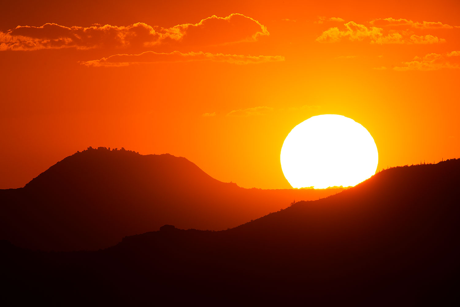 2015-07-23-supers-fish-sun-6d_6181