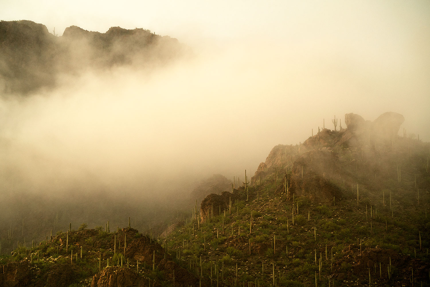 2017-07-22-tucs-mtns-fog-a7r2_00464